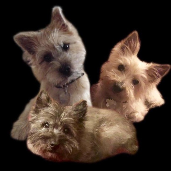 Meet your Posher, Patricia, aka ReillyDarby ๐ฉท - Picture 5 of 9